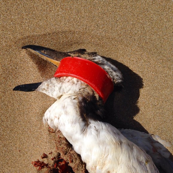 2015-03-31 14.10.48-1